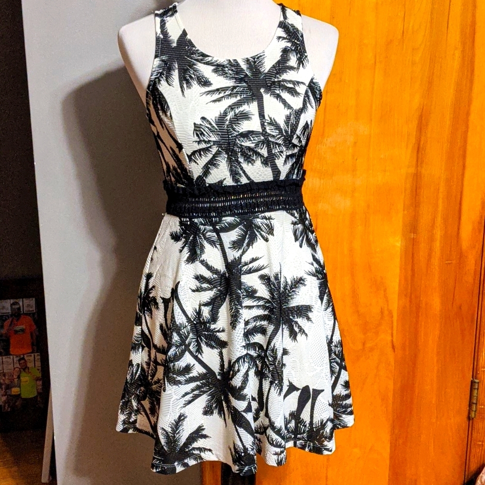 Charlotte russe skater dress